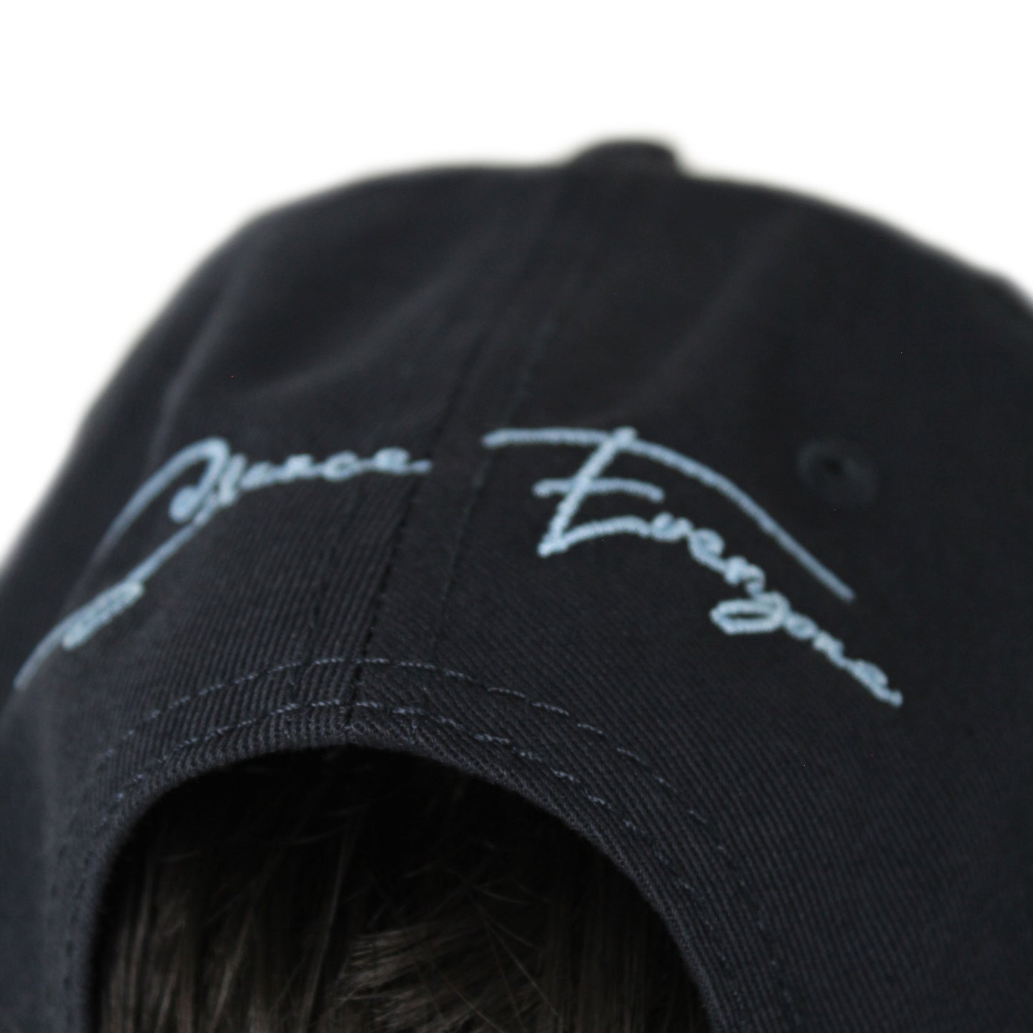 Distressed SE Cap Navy/Light Blue